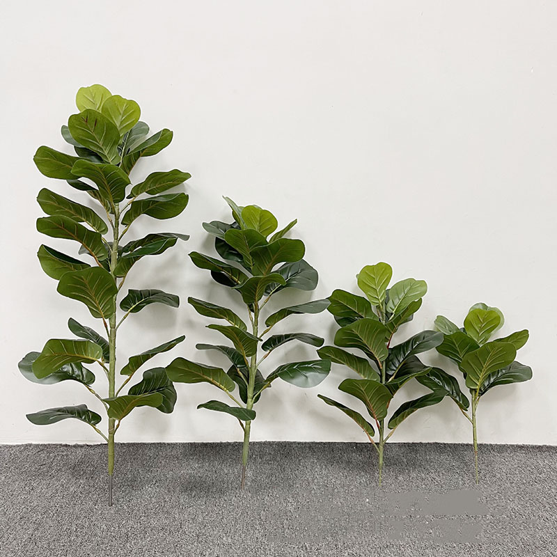59in grande albero di Ficus pi - Ficus Lyrata Tree recensione e prezzo