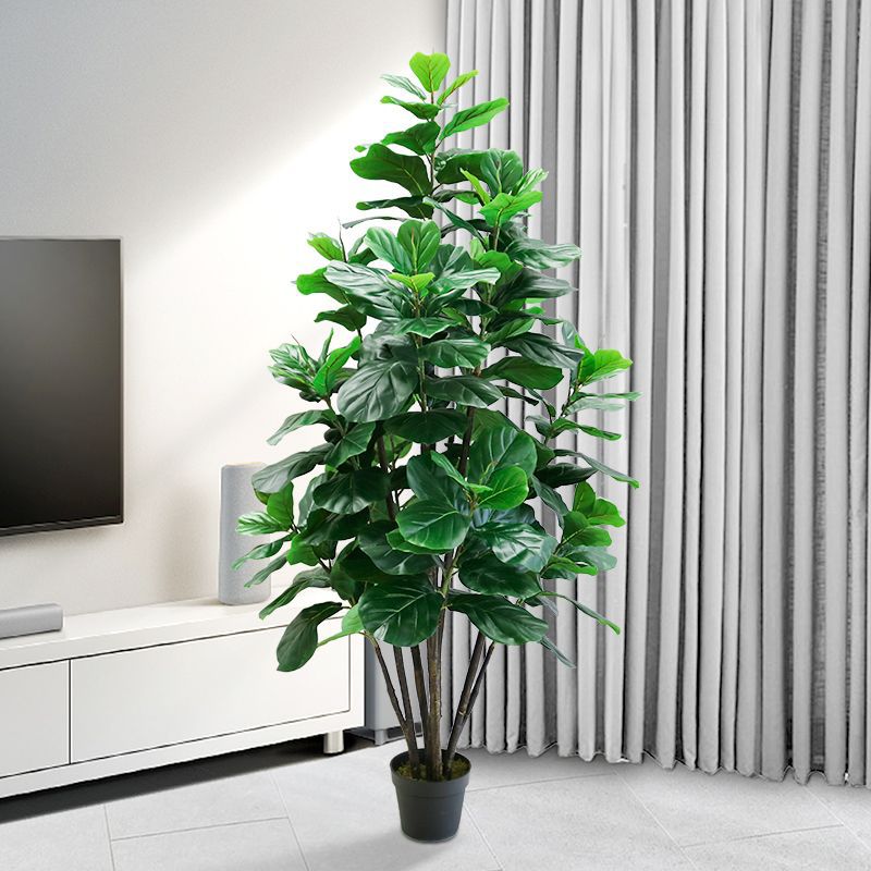 Pianta Artificiale di Ficus Ly - Ficus Lyrata Tree recensione e prezzo