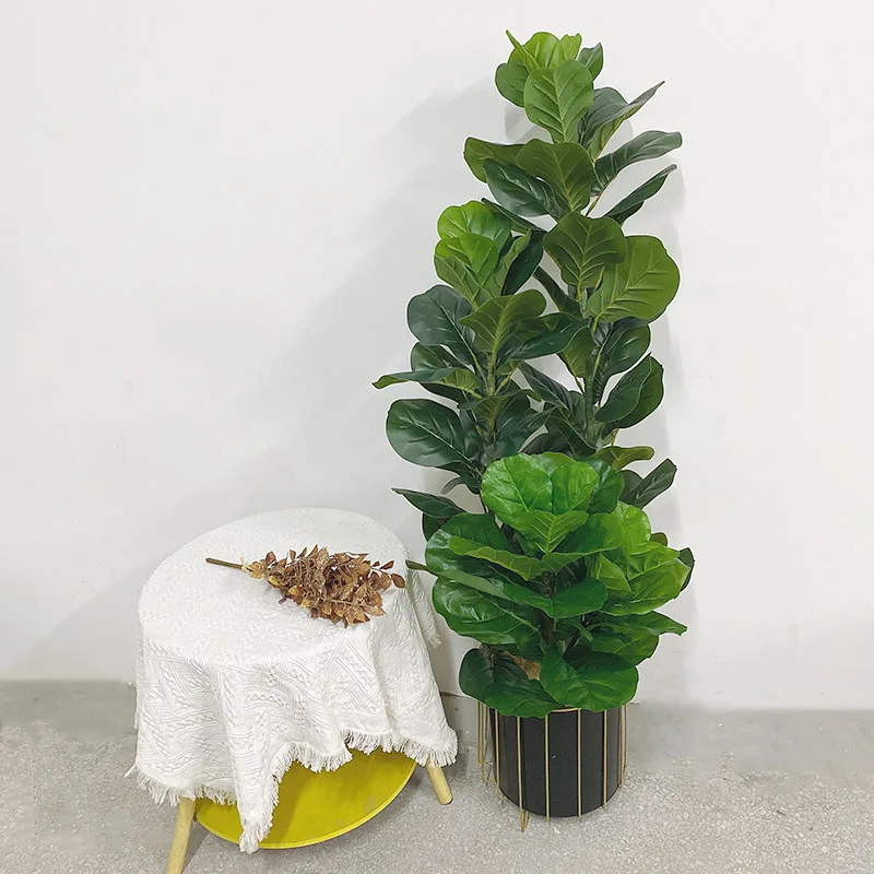 Pianta Artificiale di Ficus Ly - Ficus Lyrata Tree recensione e prezzo